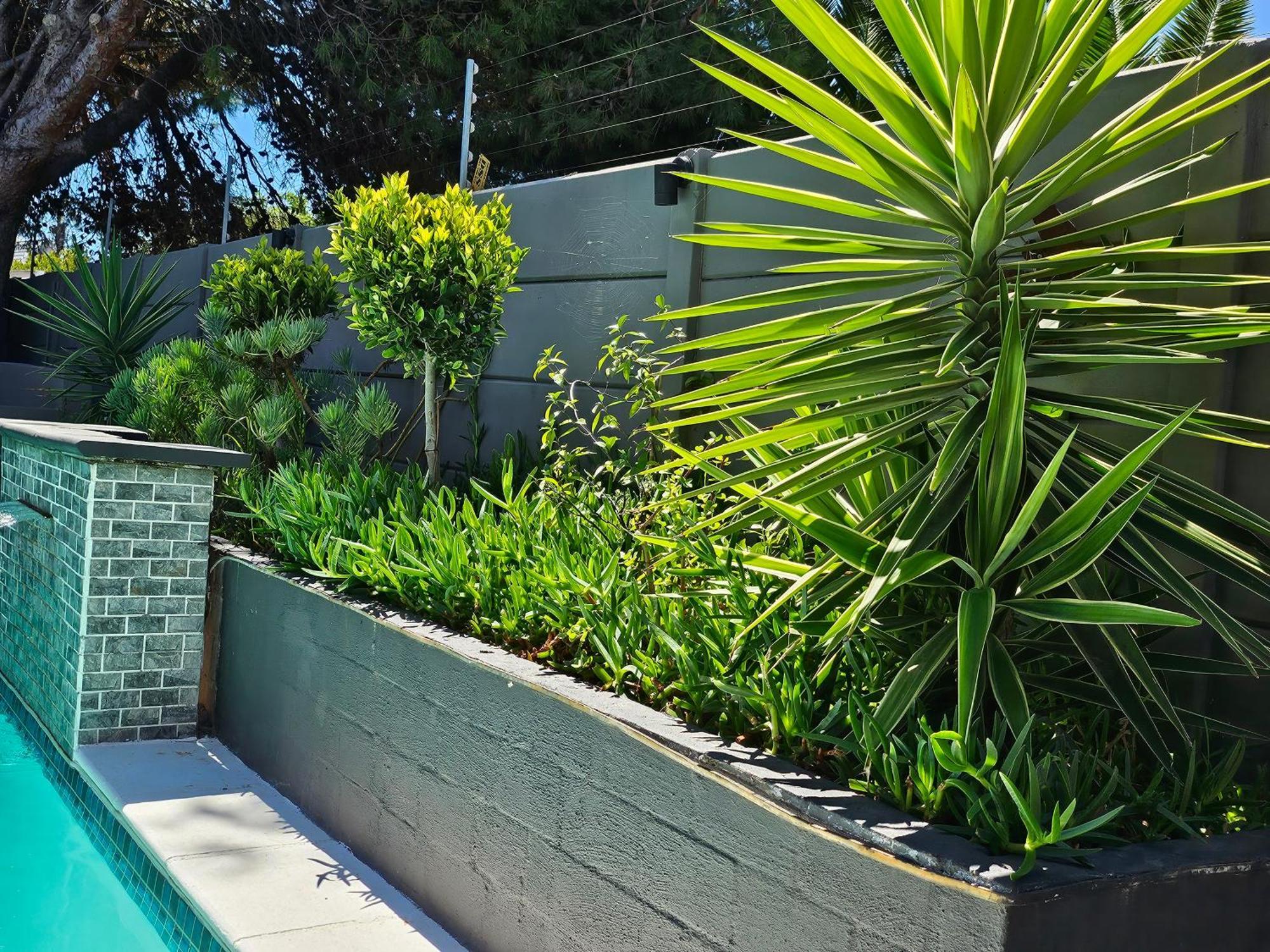 Willow Retreat Blouberg Homestay